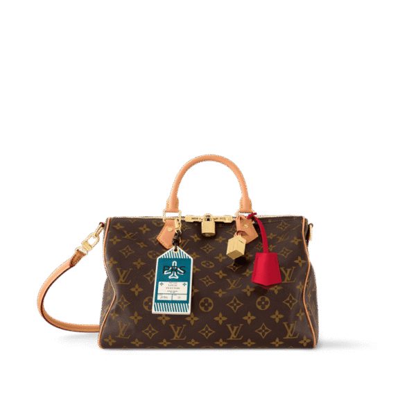 Louis Vuitton M11945 Speedy Soft 30 Crafty